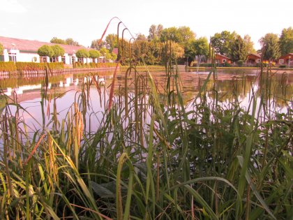 UPDATE 8 NOVEMBER 2015